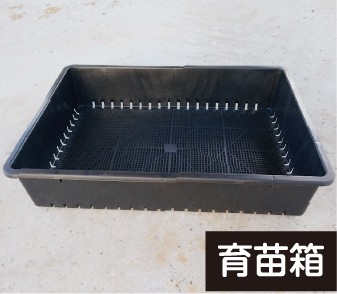 育苗箱